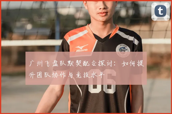 广州飞盘队默契配合探讨：如何提升团队协作与竞技水平